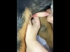Homemade animal sex