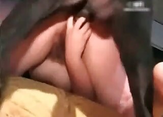 مهبل مشعر لفتاة سمينة يتم اختراقه بواسطة عمود كلب كبير