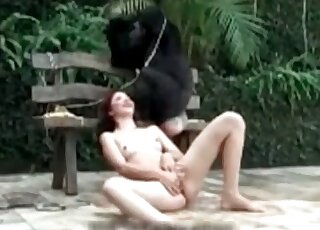 العاهرات الشهوانية مشغولة بلمس مهبلها أمام كلب رقيق