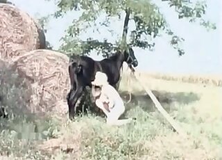 Aroused blonde demonstrates oral skills while sucking horse's schlong