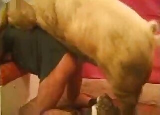 حيوان ساخن يصبح غريبًا مع حيوان ملتوي على أربع