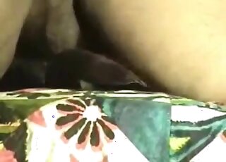 رجل ذو مؤخرة كبيرة يُظهر كيفية ممارسة الجنس مع الكلاب في وضعية التبشير