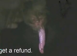 مشهد استمناء ليلي في الهواء الطلق مع شخص يحب الحيوانات ويسحب قضيبه