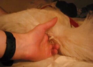 جلسة إصبع تؤدي إلى ديك كامل حيث يمارس الرجل الجنس مع الكلب في XXX مجاني