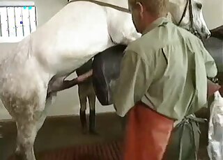 مشهد إباحي للمزرعة يركز على فرس سوداء مثيرة للغاية تبدو ساخنة