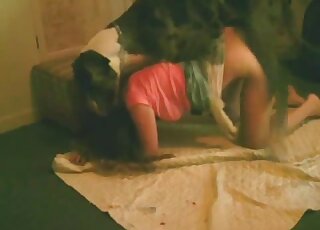 فيلم زوفيليا مذهل يظهر فتاة عاريات ترتدي اللون الوردي وكلبها