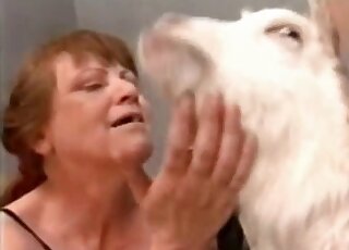 مشهد جماعي لحيوانات الزواحف يظهر قضيبًا مشعرًا لرجل يمارس الجنس مع مهبل ماعز