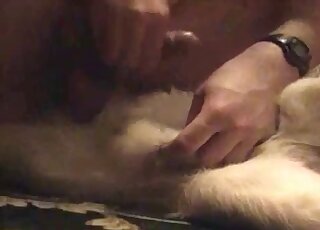 إدخال إصبع وقضيب كبير مع كلب أبيض وصاحبه المعلق