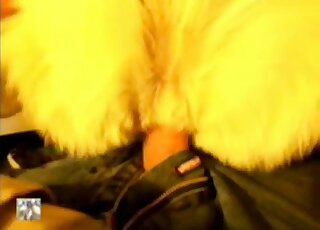 مخلوق ساخن يخترق قضيب هذا الرجل الضخم عن قرب