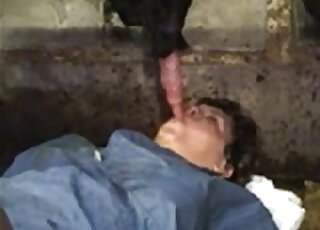 سيدة سمينة ذات ثديين مترهلين تملأ فمها بقضيب الحصان