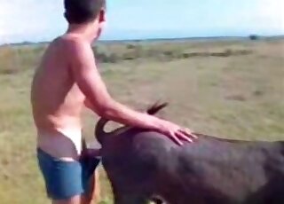 رجل يخلع ملابسه الداخلية ليمارس الجنس مع كلب أسود مثير في الهواء الطلق هنا