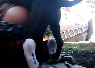 مشهد إباحي لا يصدق يظهر فيه حيوان مثير يرتدي بنطالًا منخفضًا