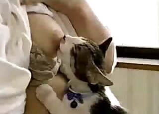 Kitty licking this lady's breasts because it has a breastfeeding kink