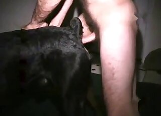 Dude plunges into a black dog's pussy in a nighttime porn movie