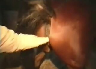 رجل يداعب مهبل فرس بنية اللون حتى يبدأ في القذف بقوة