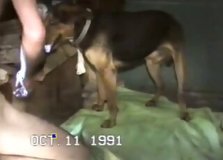 Cowgirl dog fucking with a guy that wants this beast to orgasm hard