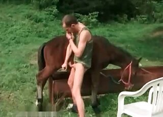 يلعب حيوان محب للحيوانات ذو العقل القذر مع عمود ضخم من الحصان في الهواء الطلق