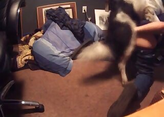 مشهد إباحي لا يصدق يتعامل مع أفضل محبي الحيوانات في الجينز يمارسون الجنس