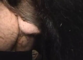 خنزير يمارس الجنس مع حيوان خاضع في مقطع فيديو مزرعة بأسلوب التجميع