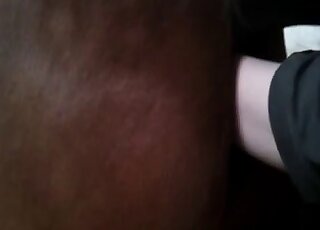 مهبل الفرس البني يتعرض للضرب من قبل شخص متعصب جنسيا