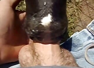 Dude uses his cock to fuck an animal's mouth in a POV porn video