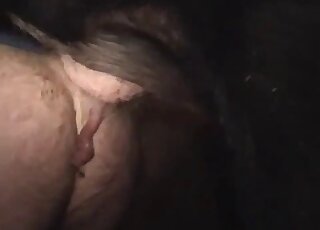 Hairy booty zoophile in ripped pants fucks a hung horse in the dark