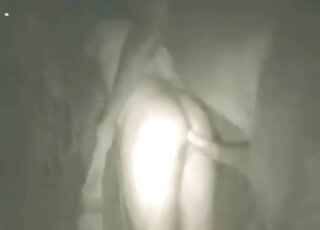 سوف يدمر قضيب الحصان الضخم فتحة الشرج الضيقة لهذا الحيوان