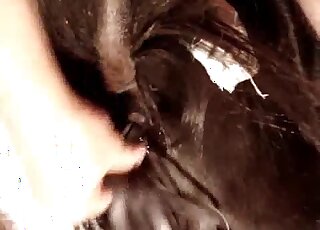 يتم فتح الثقب المثير بفضل مهاراته الجنسية