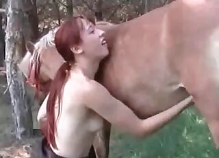 تلعب الكلبة المهووسة بالحيوانات مع حصان ضخم القضيب