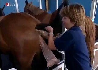 تجميع لجميع الأحداث المثيرة التي تحدث في مزرعة الجنس