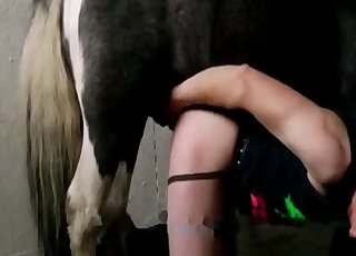 Long-haired zoophile lady wants to get screwed by a hung horse