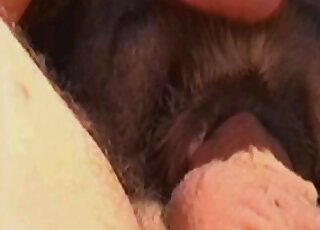 يتم اختراق فتحتي Animalt الضيقة بالعاطفة مرتين