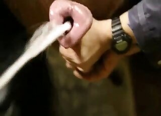 رجل متمرس في مجال الحيوانات الأليفة يهز قضيب الوحش إلى أقصى حد