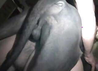 Black dog with a stiff peen is fucking this dude's greedy asshole