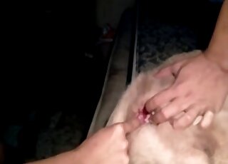 جلسة لمس ليلية مع حيوان مثير ورجل منحرف