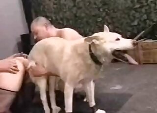 امرأة ناضجة عاهرة تشارك كلبًا مع رجلين في رباعية