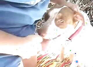 رجل هاوٍ يحاول إغراء كلبه لممارسة الجنس