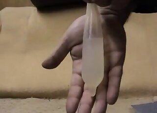 رجل يستنزف السائل المنوي والبول من قضيب الكلب الصلب في الواقي الذكري