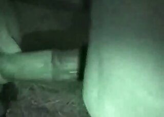 تريد المرأة الراندي أن تشعر بحصان ضخم يدخل في فرجها المبلل