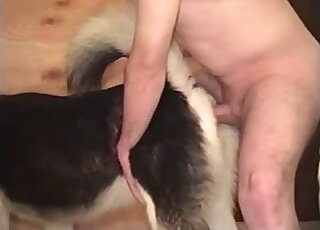 Big dick guy dominates his pet dog amateur bestiality video