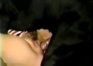 صور إباحية عن الحيوانات العتيقة - سيدة فاتنة تتعرض لضرب مبشّر من قبل كلب أسود