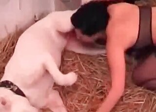 ترحب سمراء بكل سرور بعمود الكلب الصلب في عمق فمها