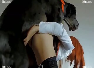 فتاة زنجبيلية تسمح لكلب أسود عملاق أن يأكل مهبلها