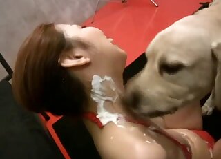 آسيوية ذات شعر أحمر تسمح للابرادور بلعقها بعد مداعبته
