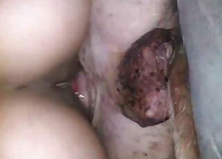 كلب كسول يسمح لفتاة شهوانية بركوبه على طريقة رعاة البقر حتى يصل إلى النشوة الجنسية