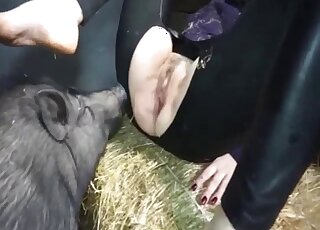 Chubby pig is impatient to bang the brunette doll in a barn