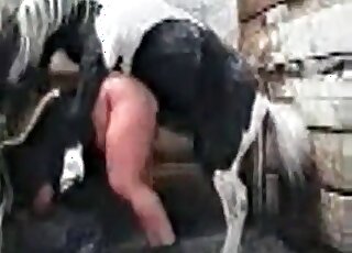 حصان يمارس الجنس مع عاهرة سمينة ويقذف داخل فتحة مهبلها