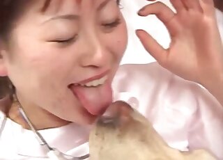 ممرضة يابانية تستمتع بالجنس في حديقة الحيوان مع كلاب لابرادور شهوانية