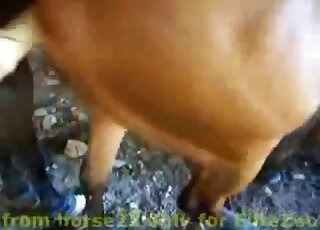 POV مهبل حصان زلق مبلل يتم حفره باستخدام لعبة جنسية