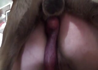 Big ass babe ended up having a hard dog dick stuck up her twat